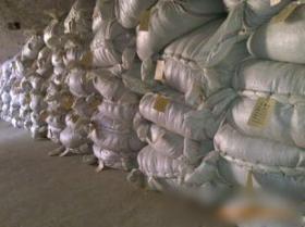 臨沂市鑫潤藥業(yè)中藥材金銀花技術轉讓項目介紹